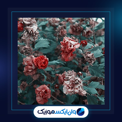 آلبوم گذار از بهرام|دانلود آلبوم گذار از بهرام