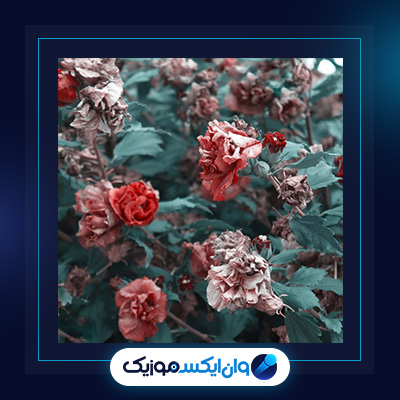 آهنگ آدم از بهرام|دانلود آهنگ آدم از بهرام