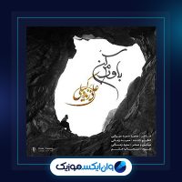 آهنگ باورم کن از علی زند وکیلی