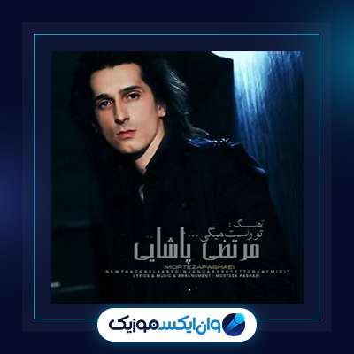 آهنگ تو راست میگی از مرتضی پاشایی