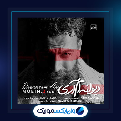 آهنگ دیوانه ام آری معین زندی|دانلود آهنگ دیوانه ام آری از معین زندی