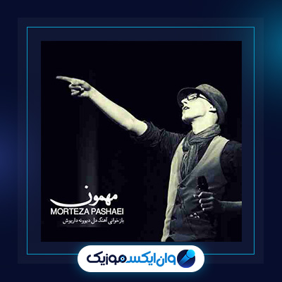 آهنگ مهمون از مرتضی پاشایی