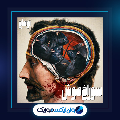 آهنگ موش از توماج|دانلود آهنگ موش از توماج