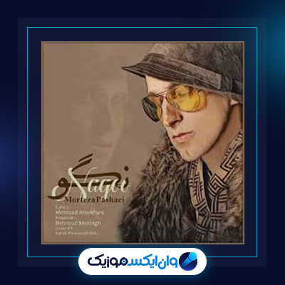 آهنگ نگو از مرتضی پاشایی