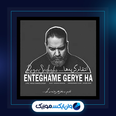 آهنگ انتقام گریه ها از رضا صادقی|دانلود آهنگ انتقام گریه ها از رضا صادقی