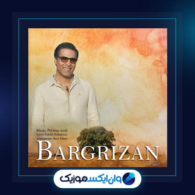 آهنگ برگ ریزان از امید|دانلود آهنگ برگ ریزان از امید