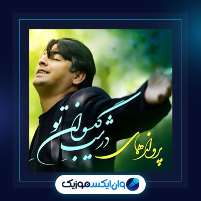 آهنگ در شب گیسوان از پرواز همای