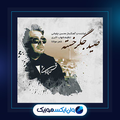 آهنگ صید جگر خسته از محسن چاوشی||دانلود آهنگ صید جگر خسته از محسن چاوشی