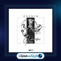 آهنگ یکیو دارم از حامیم